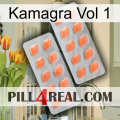 Kamagra Vol 1 27